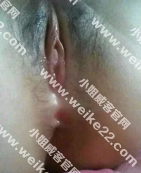 东莞东城良家,老师,嫩